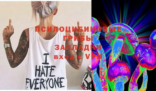 дурь Новодвинск