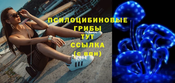 бошки Нея