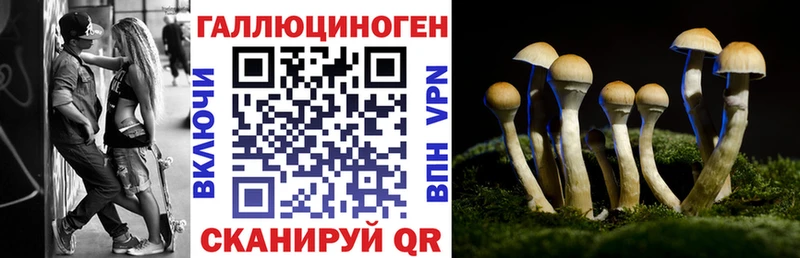 mega как зайти  где продают наркотики  Щёлкино  Псилоцибиновые грибы мухоморы 